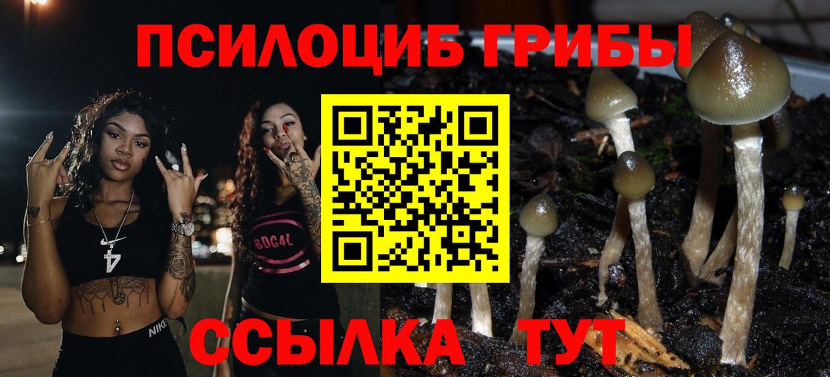 Галлюциногенные грибы мухоморы Каспийск
